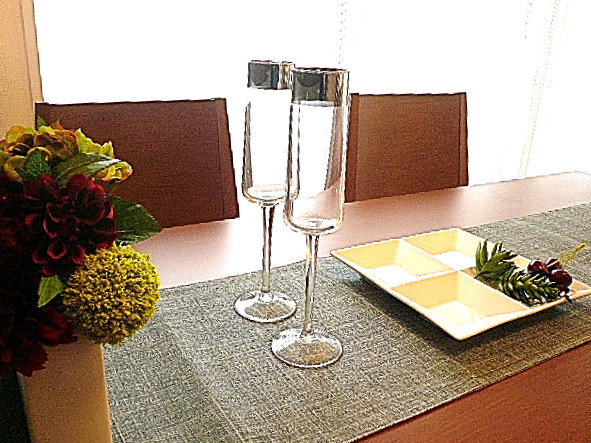 ヴェラハイツ広尾　LDK11.7帖