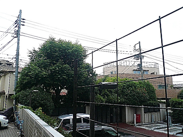 ヴェラハイツ広尾　1階からの眺望