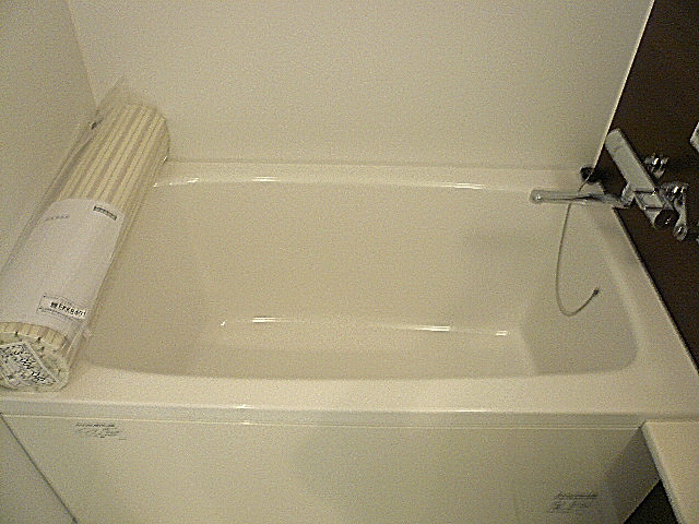 学芸大学グリーンハイツ　浴槽