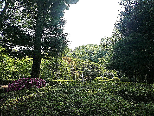 ノア南麻布　マンションまでの道のり