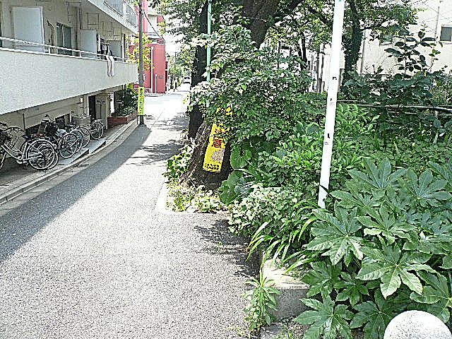 深沢ハイム　マンションまでの道のり