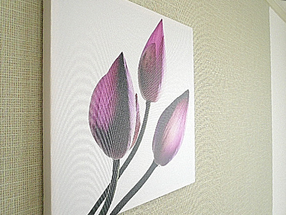 深沢ハイム　洋室6.0帖