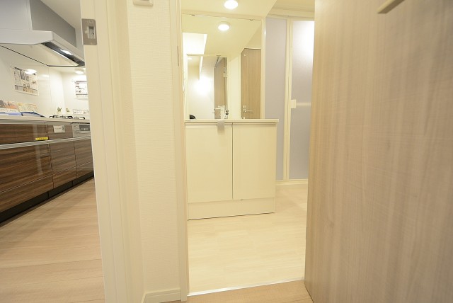 下落合グリーンパーク 洗面