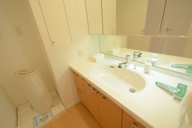 小石川ザ・レジデンスイーストスクエア 洗面