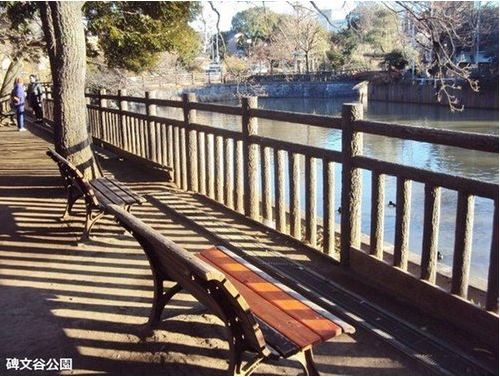 藤和シティーホームズ碑文谷　公園