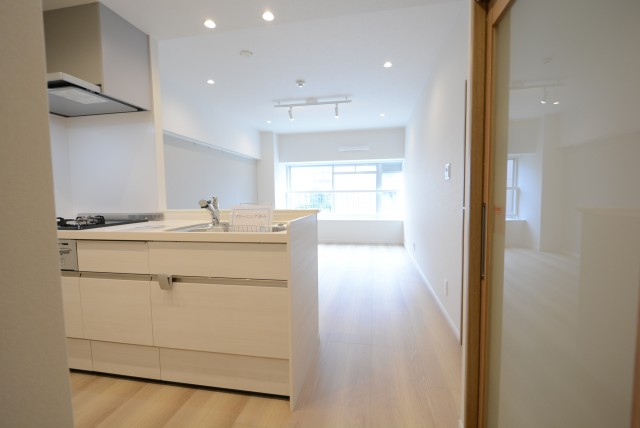 麻布十番中央マンション LD