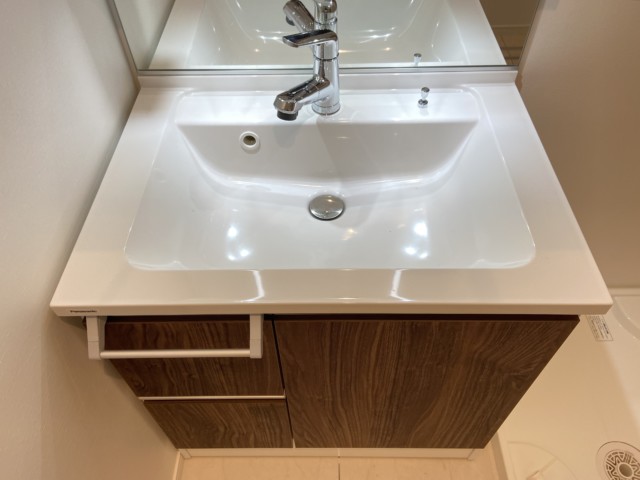 ニューシティハイツ日本橋 洗面室