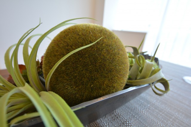 フアミール久堅 (81)LD