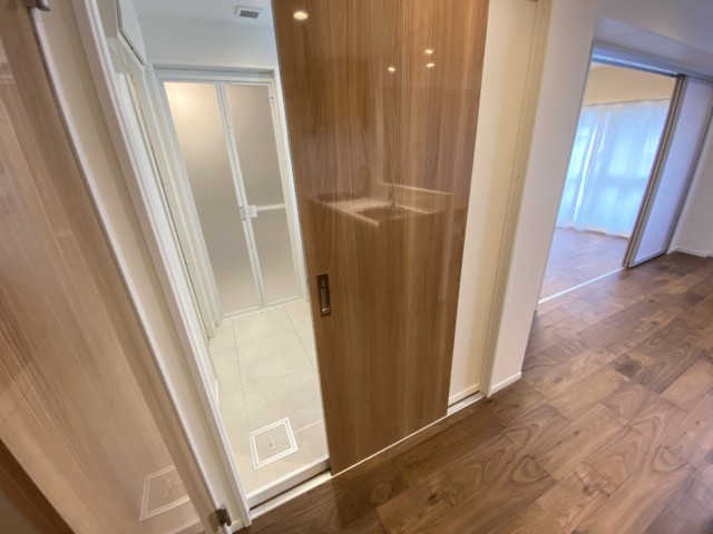 ニューシティハイツ日本橋 洗面室