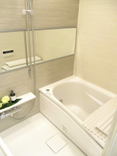 ハイラーク五反田504 バス (1)