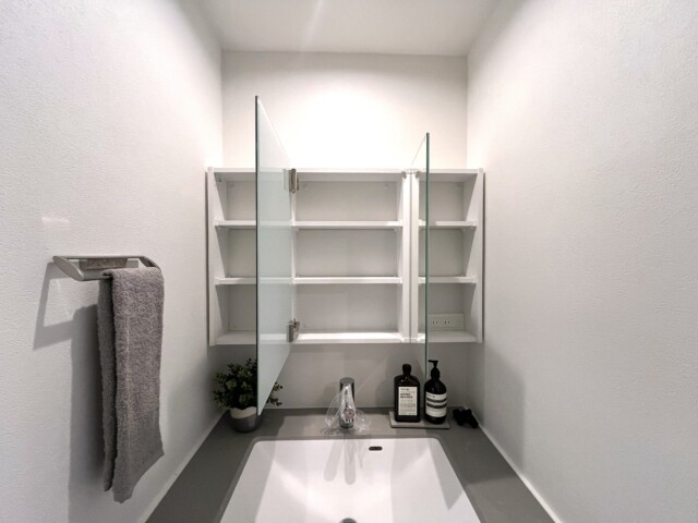 藤和シティホームズ碑文谷 洗面室