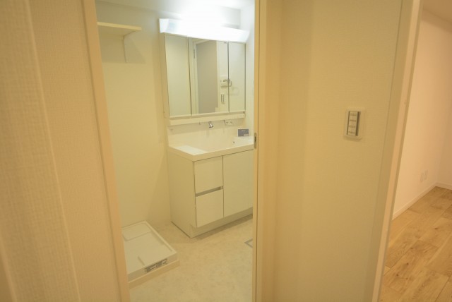 東品川ハウス_2SLDK 洗面台