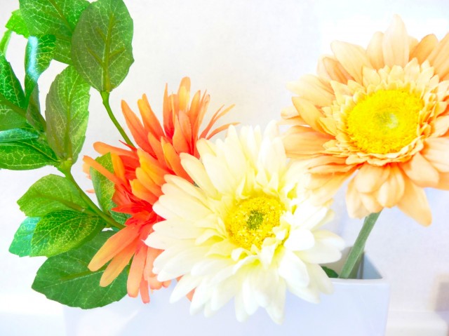 ニューシティハイツ日本橋