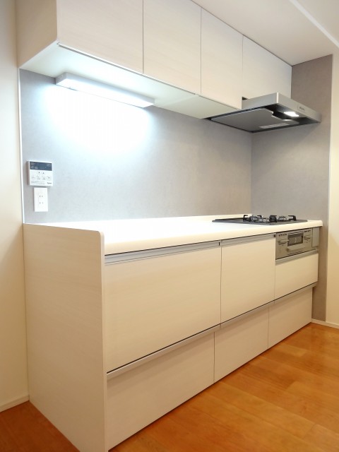 藤和青葉台コープ　キッチン203