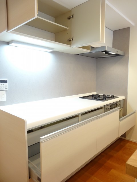 藤和青葉台コープ　キッチン203