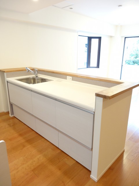 藤和青葉台コープ　キッチン203