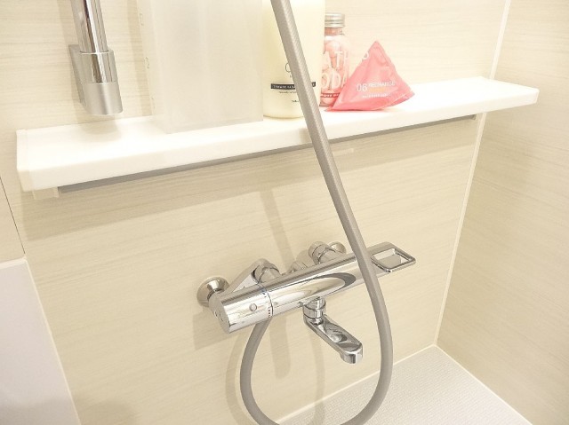 セブンスターマンション第二日本橋　バスルーム