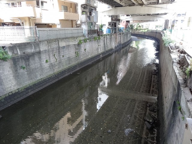 エスコートノヴェル白金高輪　周辺