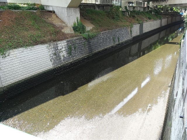 エスコートノヴェル白金高輪　周辺