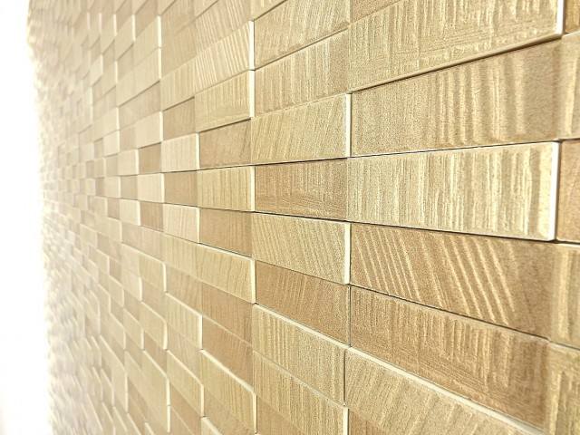 小石川ハイツ　洋室2WIC