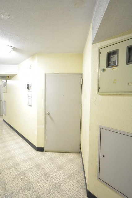 チュリス氷川坂　玄関ドア