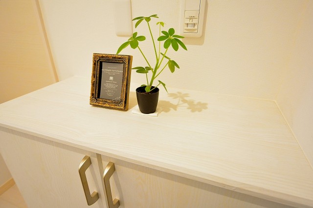 ライオンズマンション護国寺　シューズBOX