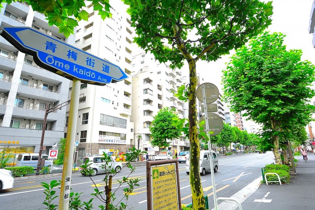 シャンボール新中野　周辺