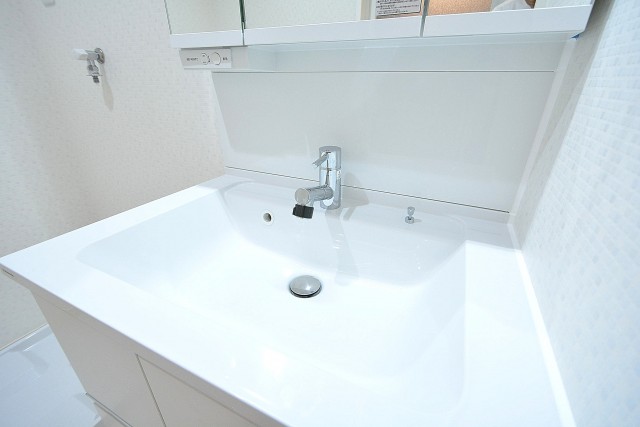 ライオンズマンション護国寺　洗面台