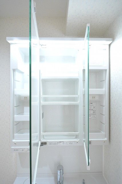 ライオンズマンション護国寺　三面鏡の裏収納