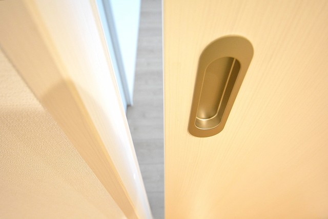 ライオンズマンション南平台　洋室の扉