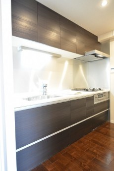 成城エコーハイツ　システムキッチン803