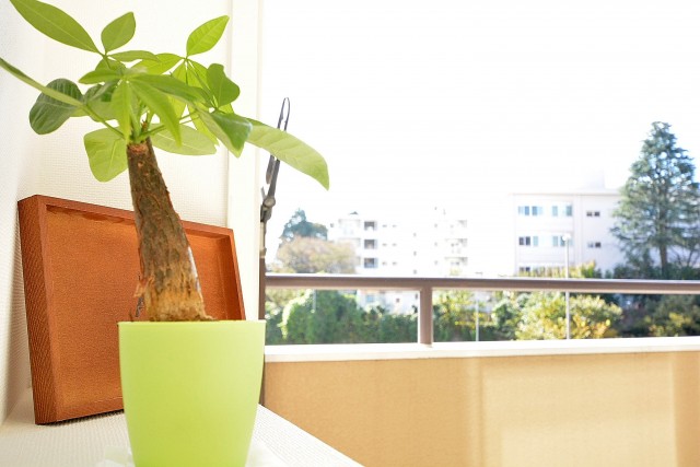 ライオンズマンション護国寺　6.0帖洋室