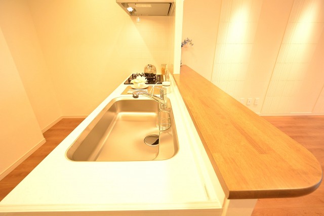 スカイプラザ赤坂 システムキッチン