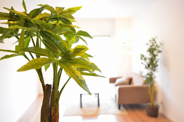 東建第2上町マンション　ＬＤＫ