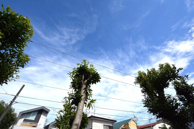 ライオンズマンション赤堤第2　眺望106