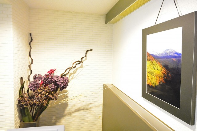 ニューシティアパートメンツ市谷加賀　エントランスホール