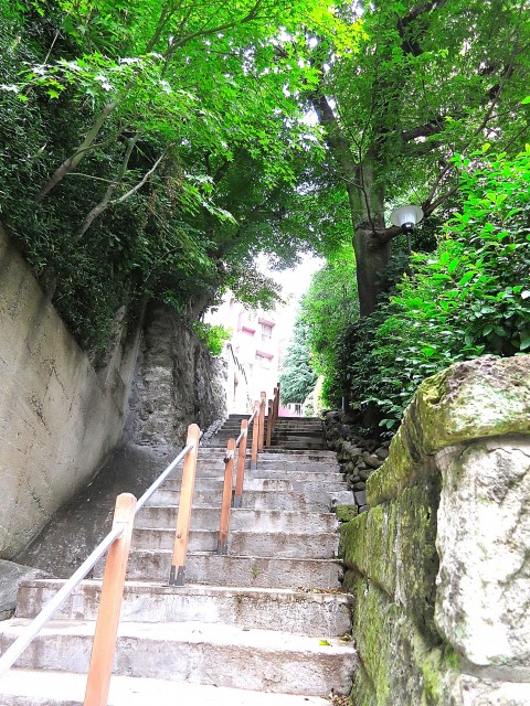 音羽ハウス　裏道