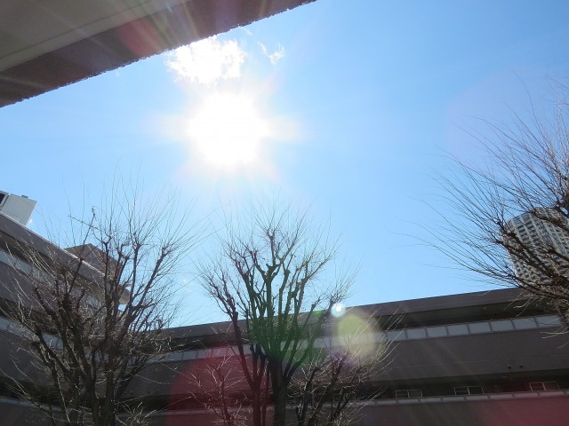 マンション第二恵比須苑　眺望