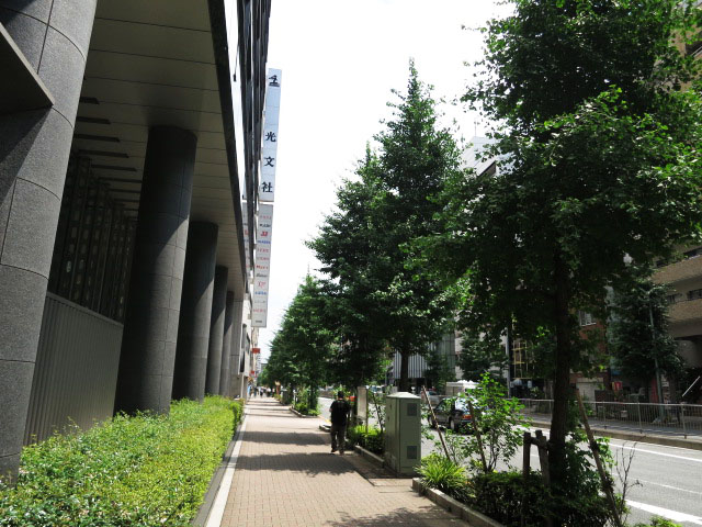 レクセルマンション音羽　周辺環境