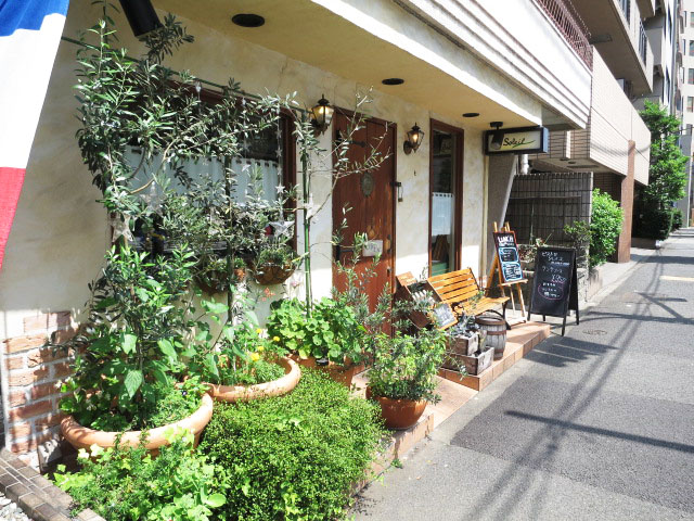 レクセルマンション音羽　周辺環境