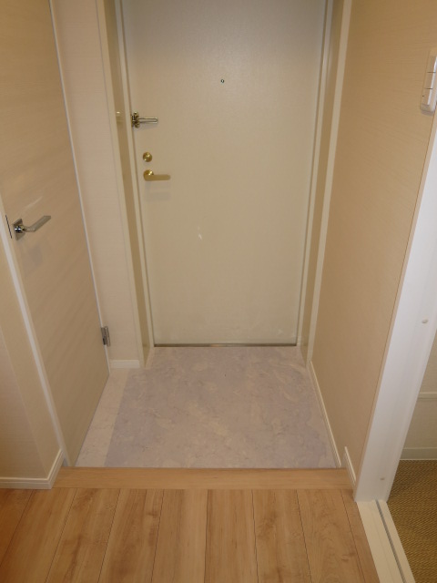 レクセルマンション音羽　明るい印象の玄関