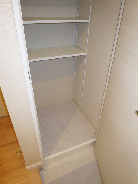 レクセルマンション音羽　玄関収納は奥行きがあります