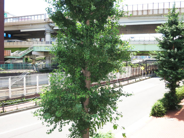 バルコニーからの眺望