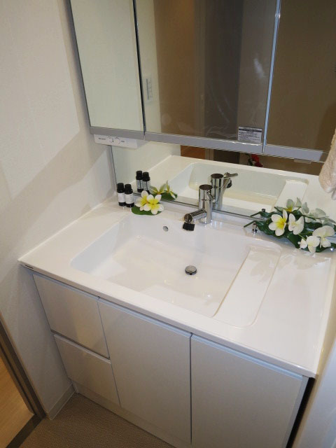 サンクタス池袋ベルマージュ　使い勝手良さそうな洗面化粧台