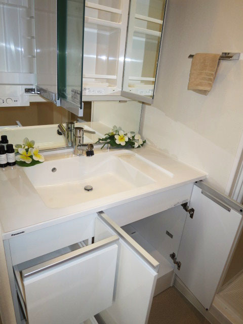 サンクタス池袋ベルマージュ　使い勝手良さそうな洗面化粧台