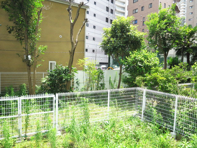 バルコニーからの風景