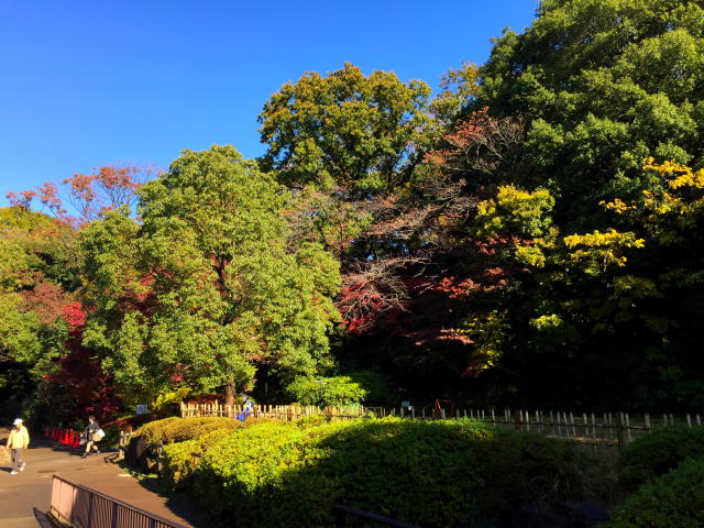 田園調布スカイハイツ　周辺環境