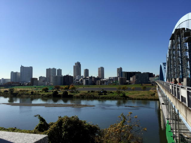 田園調布スカイハイツ　周辺環境