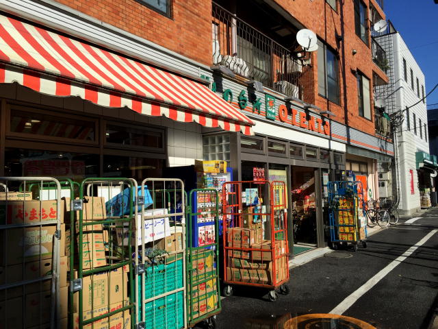田園調布スカイハイツ　周辺環境