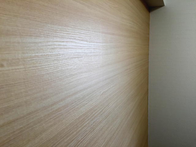 田園調布スカイハイツ　洋室5帖